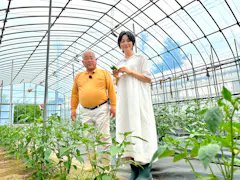 本上まなみの京都涼めぐり~暑い夏を乗り切る知恵と