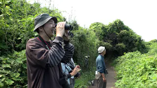 野鳥を見る田中