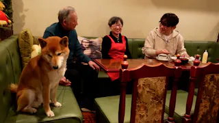 飯尾和樹のずん喫茶