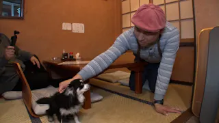 オードリー春日の知らない街で自腹せんべろ シーズン3