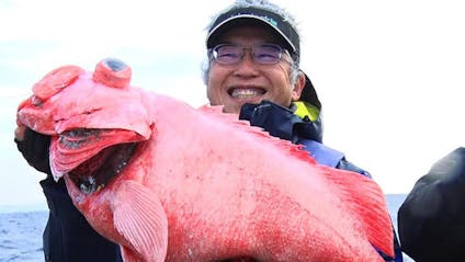 東京湾大調査 お魚ぜんぶ獲ってみた2 bsテレ東 18 8 16 17 58 Oa の番組情報ページ テレビ東京 bsテレ東 7ch 公式 東京湾大調査 お魚ぜんぶ獲ってみた2 bsテレ東 18 8 16 17 58 Oa の番組情報ページ テレビ東京 bsテレ東 7ch 公式