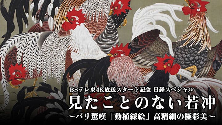 日経スペシャル 見たことのない若冲 パリ驚嘆 動植綵絵 高精細の極彩美 ｂｓテレ東 18 12 1 10 30 Oa の番組情報ページ テレビ東京 ｂｓテレ東 7ch 公式