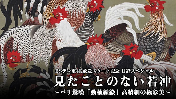 日経スペシャル 見たことのない若冲 パリ驚嘆 動植綵絵 高精細の極彩美 bsテレ東 18 12 1 10 30 Oa の番組情報ページ テレビ東京 bsテレ東 7ch 公式 日経スペシャル 見たことのない若冲 パリ驚嘆 動植綵絵 高精細の極彩美 bsテレ東 18 12 1 10 30 Oa の番組情報ページ テレビ東京 bsテレ東 7ch 公式