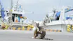 港猫