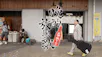 晩酌放浪歌〜名曲と瓶ビールと〜