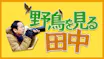 野鳥を見る田中