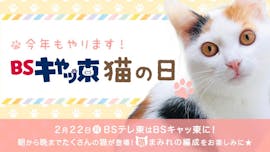 2月22日(月)BSテレ東はBSキャッ東に!