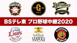 BSテレ東 プロ野球中継2020