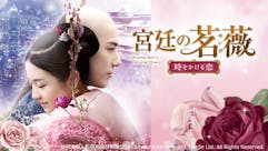 中国ドラマ☆宮廷の茗薇＜めいび＞～時をかける恋