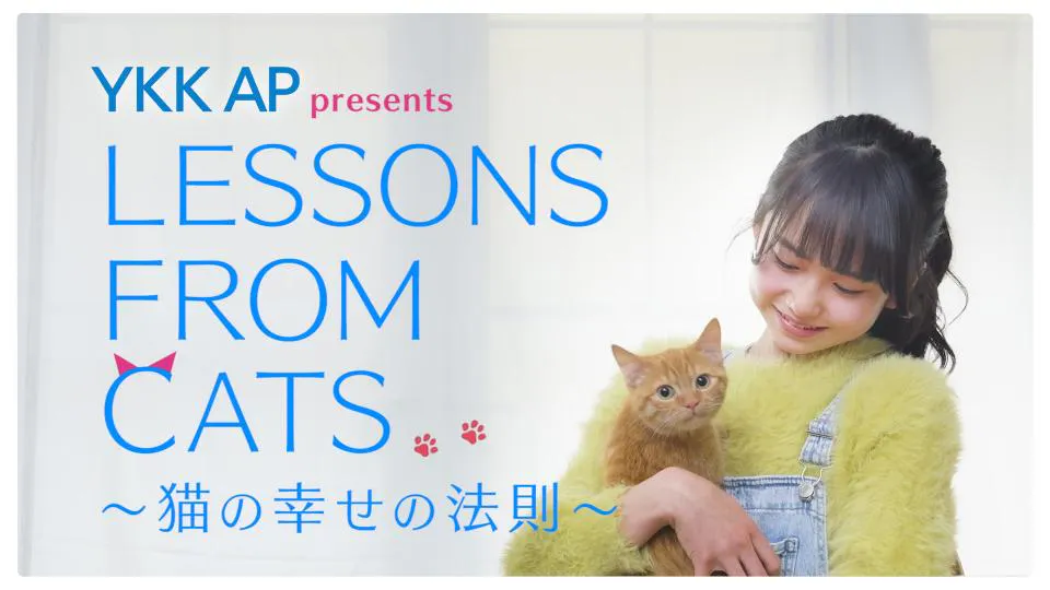＆ellecy 働き者の猫ブルゾン（YKK AP presents LESSONS FROM CATS～猫 