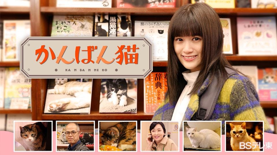 猫の日スペシャルドラマ かんばん猫 テレビ東京 ｂｓテレ東 7ch 公式