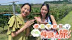 地酒で乾杯！ほろ酔い仲良し旅