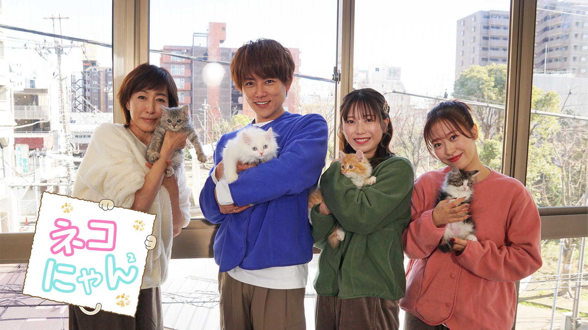 ネコにゃん！かわいい子猫大集合 ドキドキはじめて体験を激撮！高島