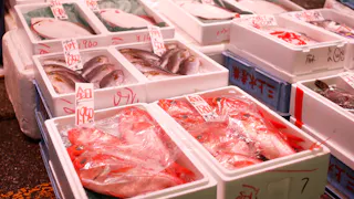 イチバで朝呑み