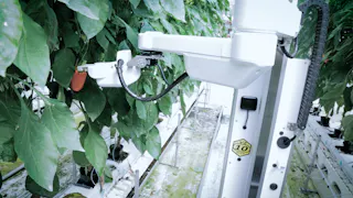 Ｆｕｔｕｒｅ　Ｏｆ　Ｗｏｒｋ～人とＡＩの共創～