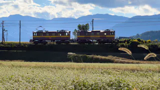 乗れない鉄道に乗ってみた！
