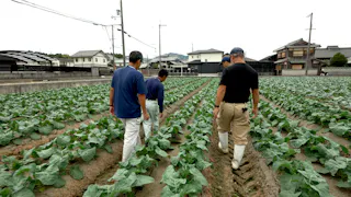 Ｆｕｔｕｒｅ　Ｏｆ　Ｗｏｒｋ～人とＡＩの共創～