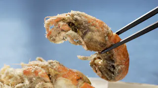 イチバで朝呑み