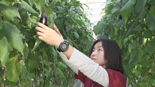 経済航海図マゼランの羅針盤～奮闘６００日！“夢の