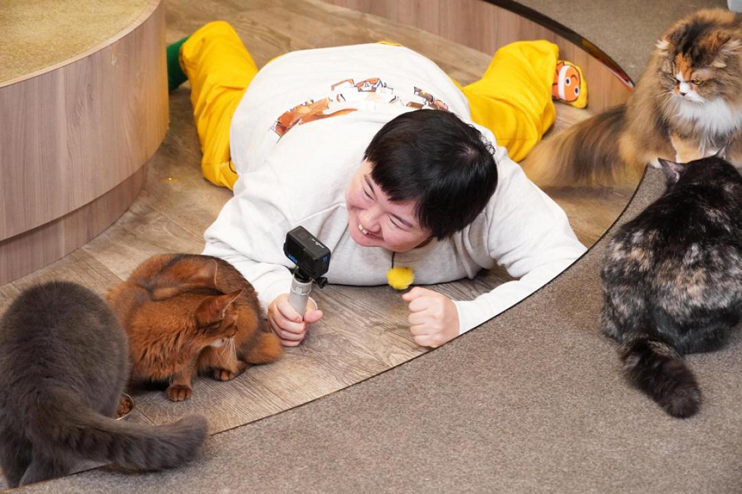 CIAOちゅ～るpresents オールねこ感謝祭！！ニャン♪にゃん♪オフ