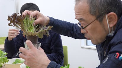 奮闘６００日！“夢の野菜”づくりに挑む ～経済航海図マゼランの羅針盤