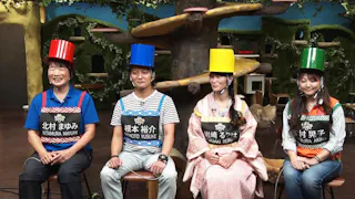 ＴＶチャンピオン極　“ネコ通選手権”超マニア知識連発＆可愛い写真決戦！
