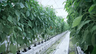 Ｆｕｔｕｒｅ　Ｏｆ　Ｗｏｒｋ～人とＡＩの共創～