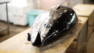 イチバで朝呑み