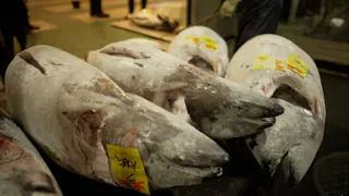 イチバで朝呑み