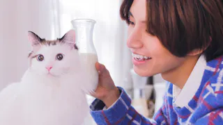 YKK AP Presents 僕と猫のダイアリー