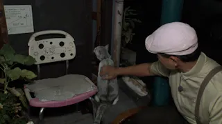 オードリー春日の知らない街で自腹せんべろ　シーズ