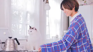 YKK AP Presents 僕と猫のダイアリー