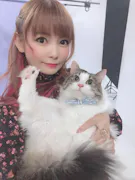 ～社長も社内も猫だらけ！～ＢＳキャッ東　緊急モフモフ生放送！
