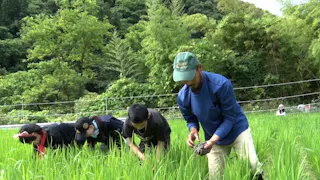 自給自足ファミリー２０２５夏